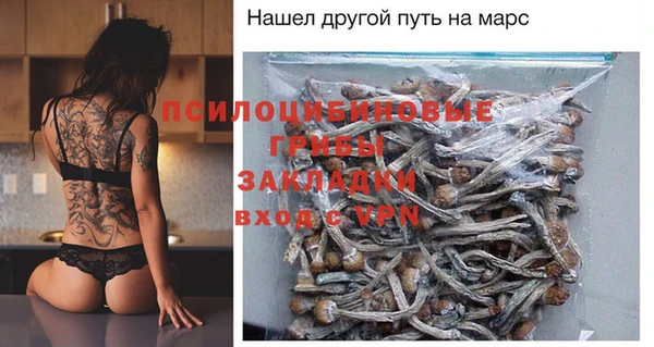 тгк Алзамай