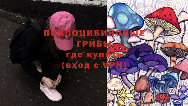 тгк Алзамай