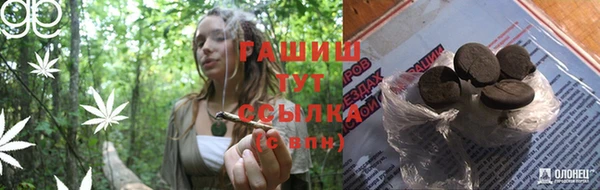 тгк Алзамай
